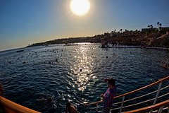 cee4222553aa55503a900fcf565a6b6f.jpg